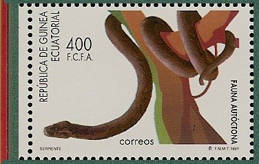 Fauna Autóctona - Serpiente