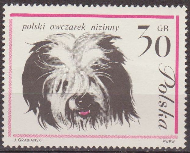 Polonia 1963 Scott 1116 Sello Nuevo Fauna Perros Polish Sheet Dog Polska Poland Polen Pologne 