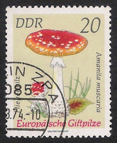 SETAS-HONGOS: 1.152.014,02-Amanita muscaria -Dm.974.30-Y&T1616-Mch.1936-Sc.1536