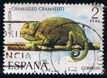 2193 Camaleon 