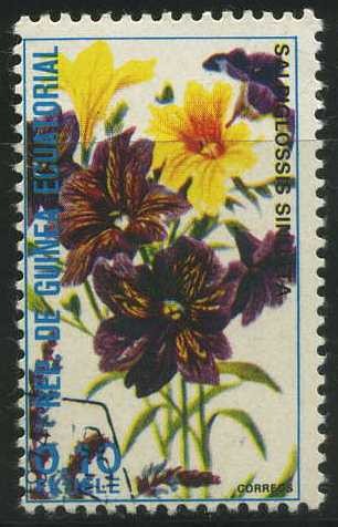 Flores - Salbiglossis sinuata.