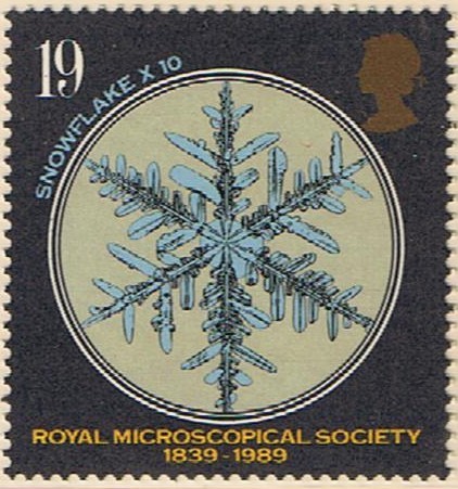 150 ANIV DE LA SOCIEDAD DE MICROSCOPIA. CRISTAL DE NIEVE