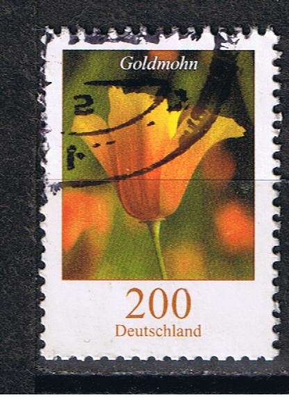 Goldmohn