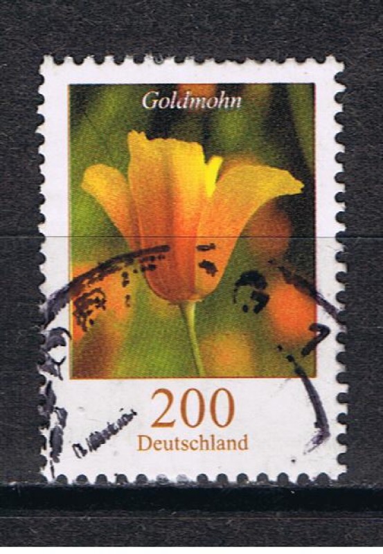 Goldmohn