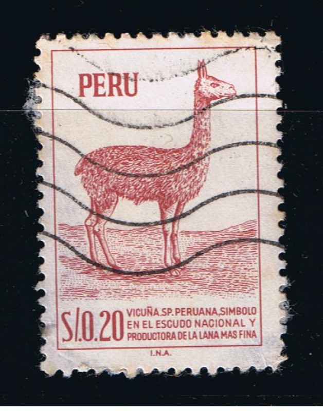 Vicuña. S.P. Peruana, símbolo en el escudo Nacional y productora de la lana mas fina.