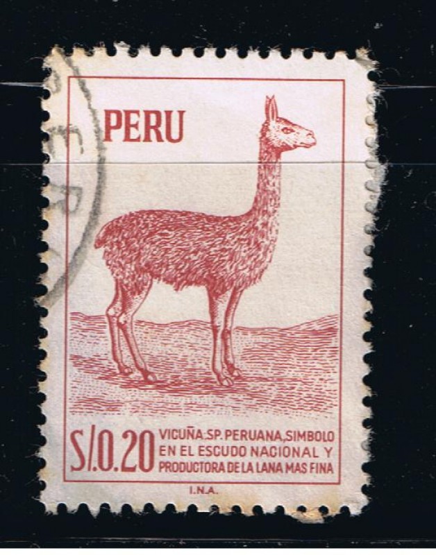 Vicuña. S.P. Peruana, símbolo en el escudo Nacional y productora de la lana mas fina.