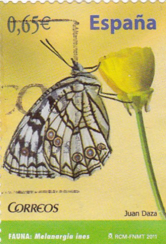 mariposa