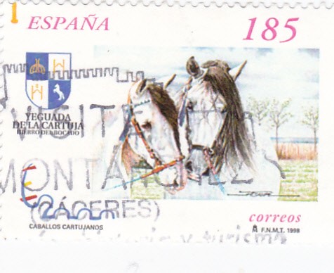 Caballos Cartujanos 3613   (F)