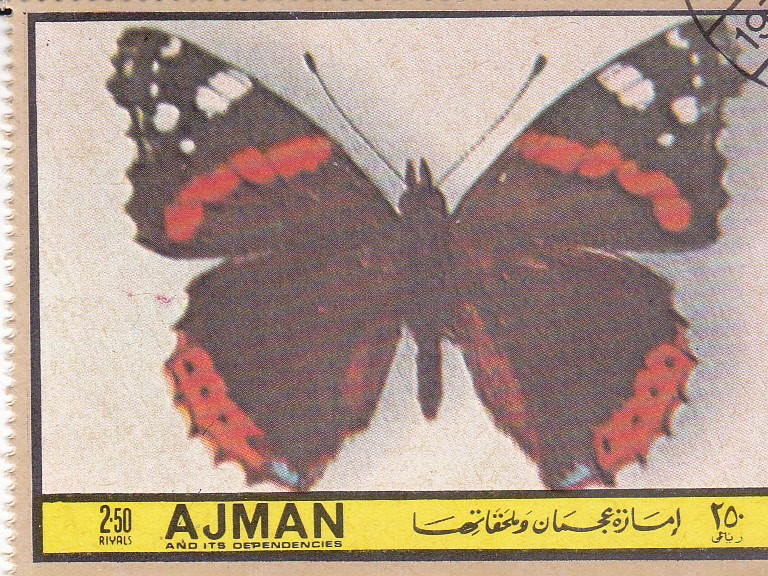 AJMAN -Mariposas