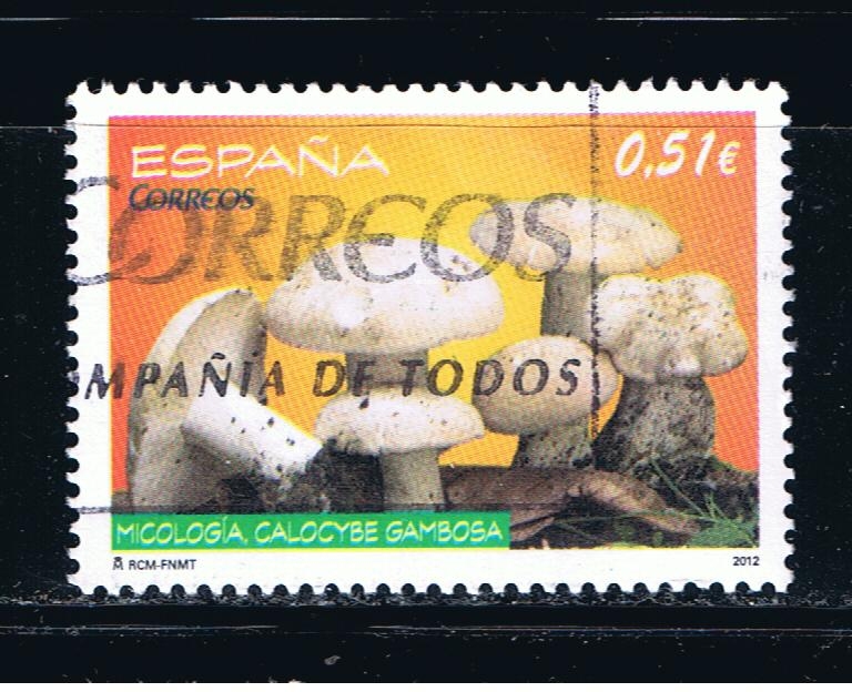 España. Micología 