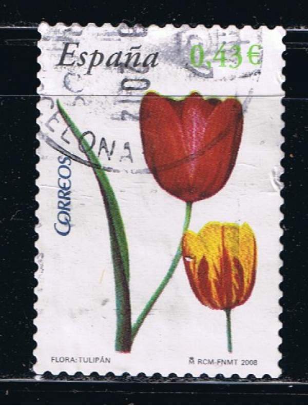 España  Flora y Fauna.  