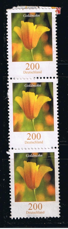 Goldmohn