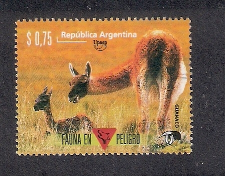 Fauna en peligro: Guanaco