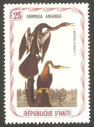 Fauna, anhinga anhinga