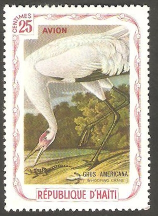 Fauna, grus americana