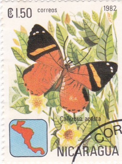 Mariposa