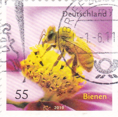 abeja y flor