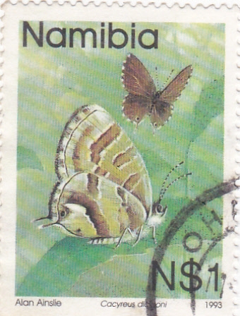 mariposas