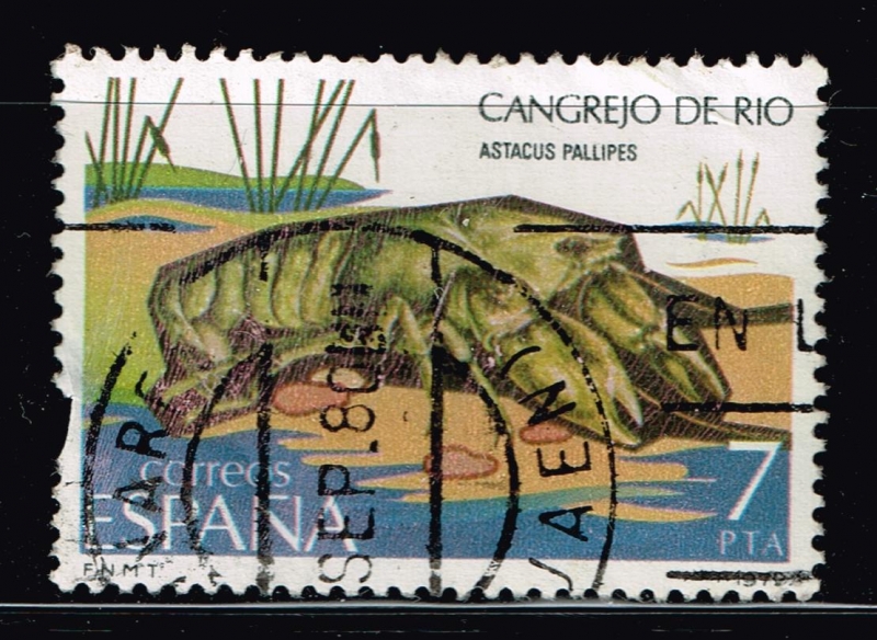 Cangrejo de río