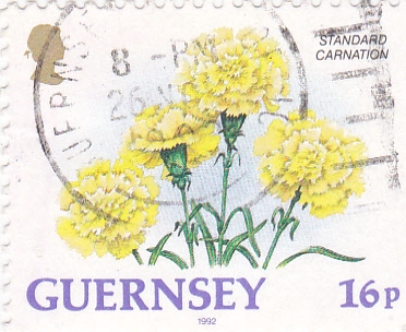 flores- GUERNSEY