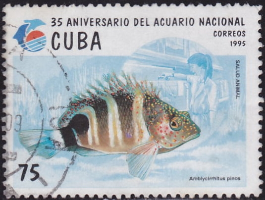 35 Aniversario del Acuario Nacional