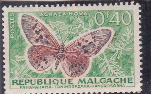 mariposa