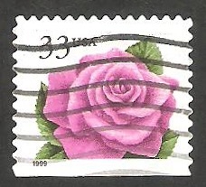 2931 - Rosa