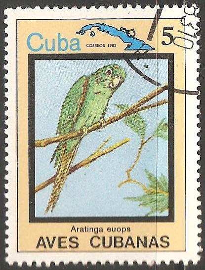 Aves cubanas-aratinga euops