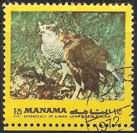 Aves de Manama (Ajman)