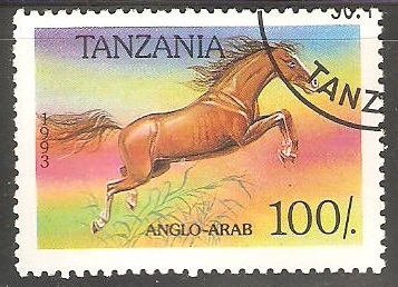 Anglo- Arab