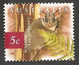 Leadbeater's possum-