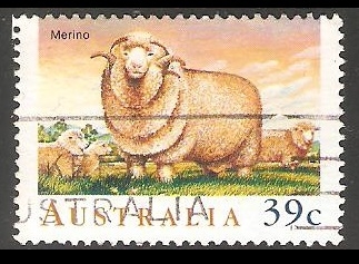 Merino-Oveja merina