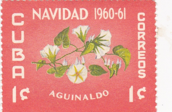 NAVIDAD-AGUINALDO