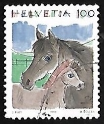 Caballos