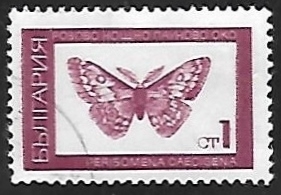 Mariposa