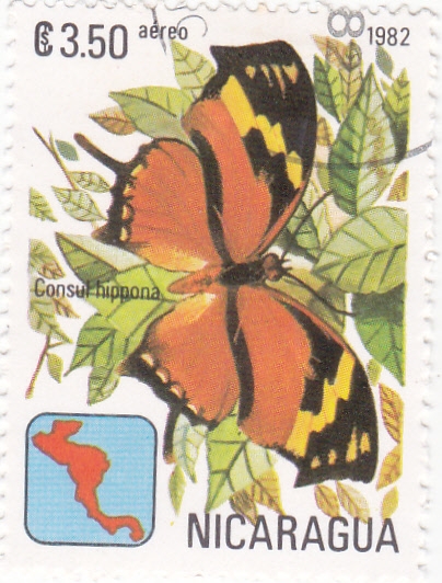 Mariposa