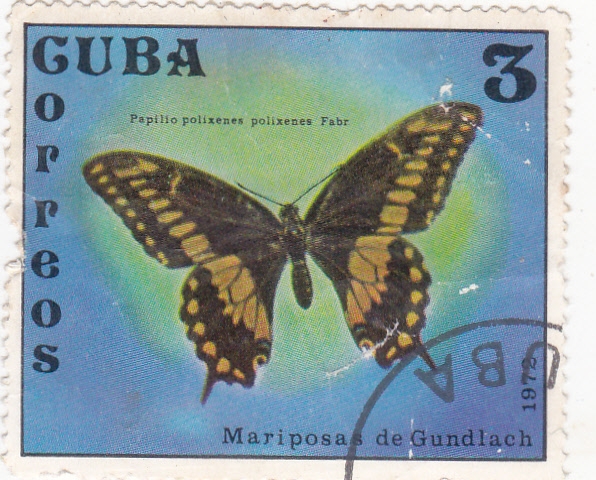 Mariposa