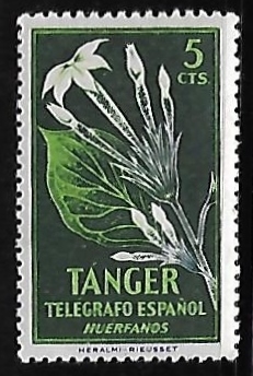 Telegrafo español - Huerfanos