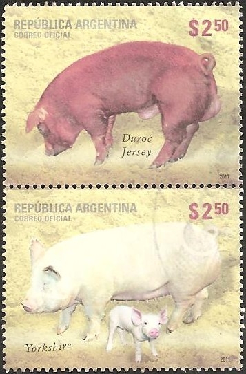 Pig Breeds