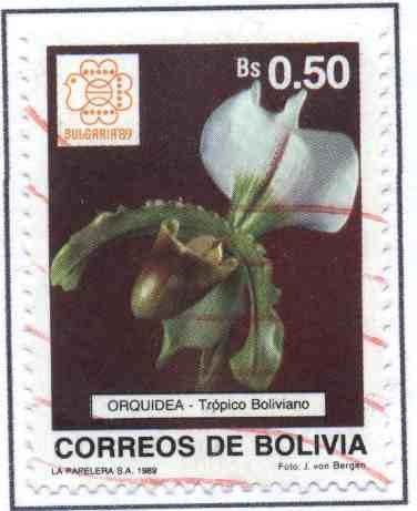 Flora Boliviana