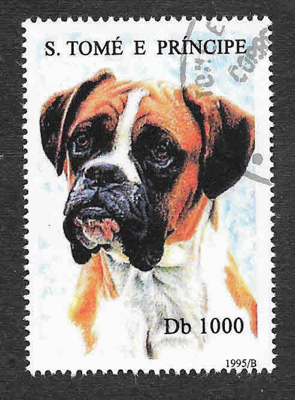 1243 - Perro