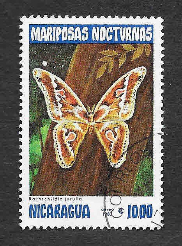 1236 - Mariposas Nocturnas