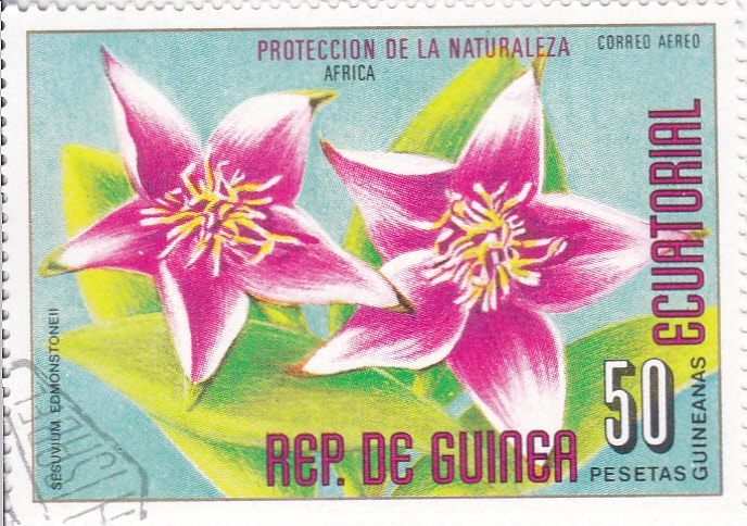 FLORES- PROTECCIÓN DE LA NATURALEZA