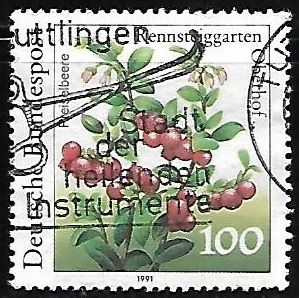 Vaccinium vitis-idaea