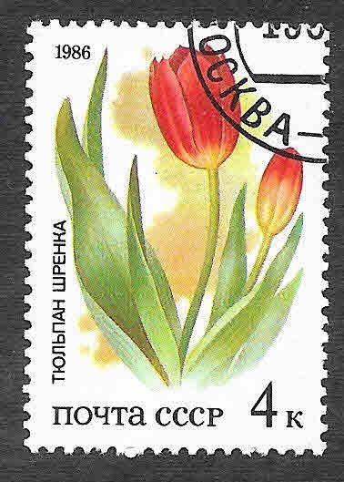 5424 - Flora de las Estepas Rusas