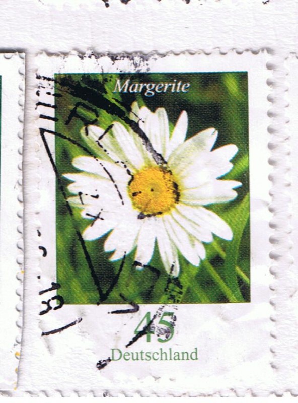 Margarite