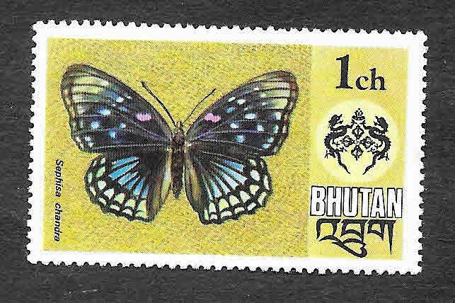 173 - Mariposa