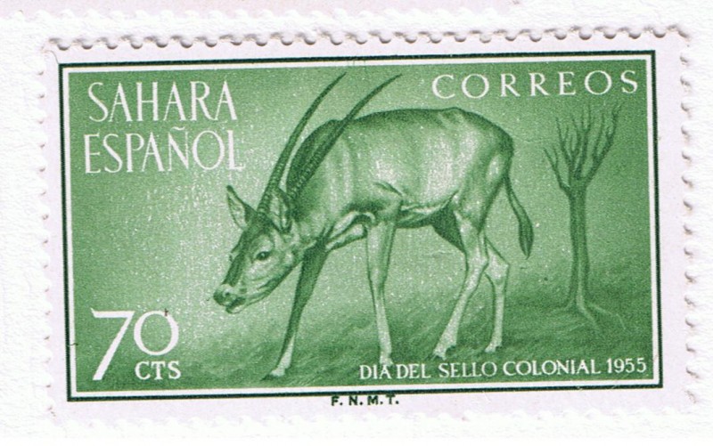 Sahara Dia del Sello  Colonial 1955