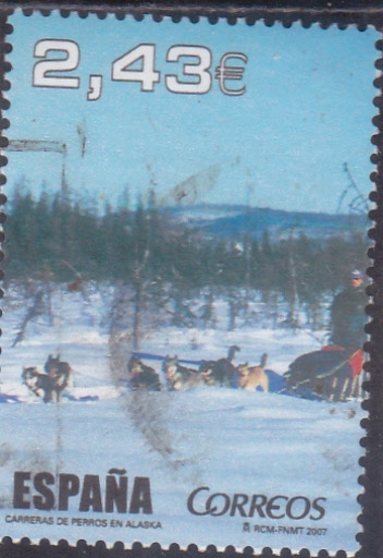 CARRERAS DE PERROS EN ALASKA (43)