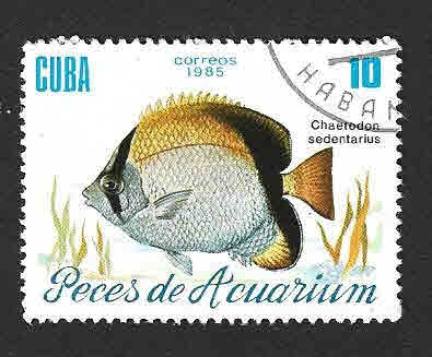 2814 - Peces de Aquarium